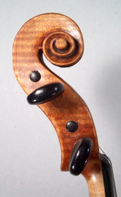 Violin Génnaro Gagliano. head