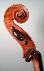 Profile of the head of the instrument.