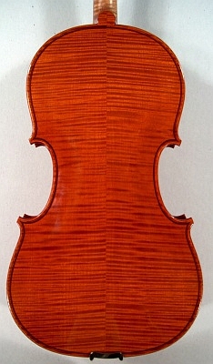back of viola, Roland Terrier, 2007