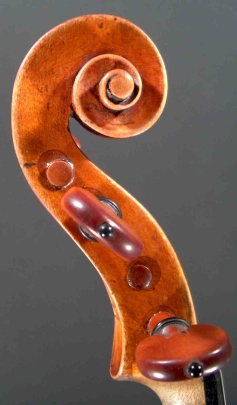 Violin made by Antonio Gragnani. head