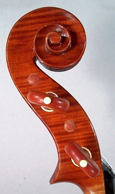 head profile of viola, Roland Terrier, 2007